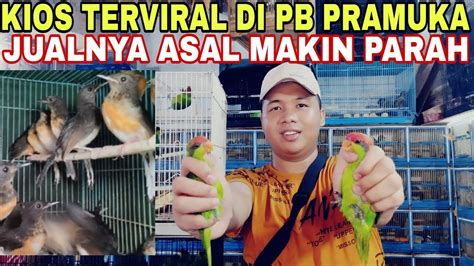 Kios Sigit Kios Terviral Di Pasar Burung Pramuka Jual Burungnya Asal