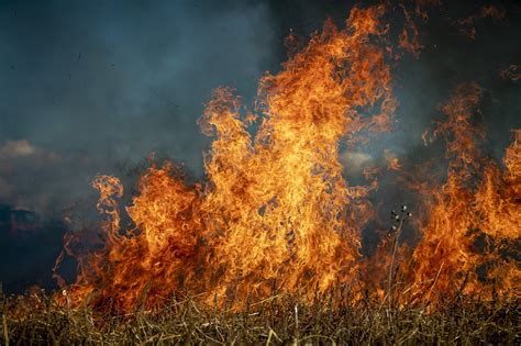 Ecomafia Aumentano I Reati Ambientali Ogni Ora Nel Icona Clima