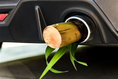 Governo quer aumentar etanol na gasolina para 30 e isso é RUIM