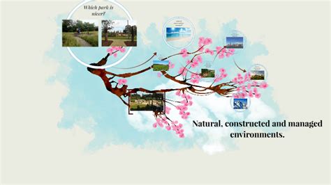 Natural Constructed And Managed Environments By Katherine Woollett On