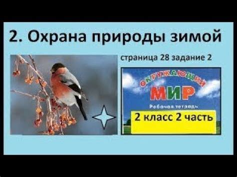 Птицы у кормушки/Охрана природы зимой №2 (Окр.мир 2 класс Перспектива ...