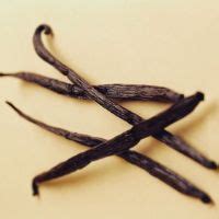 Buy Vanilla Wood Perfume 50ML Online from Fraganote