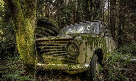 Wallpaper Forest Wreck Vintage Car Woodland Land Vehicle