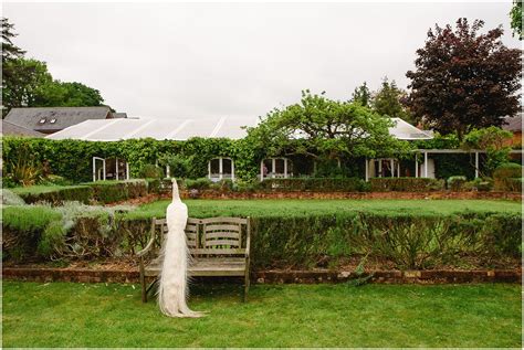 Ashleigh & Joe's Northbrook Park Wedding - Angela Ward Brown Photography