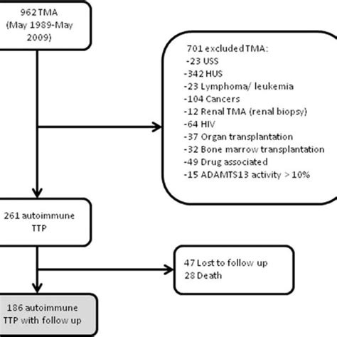 Study Flow Chart Hiv Indicates Human Immunodeficiency Virus