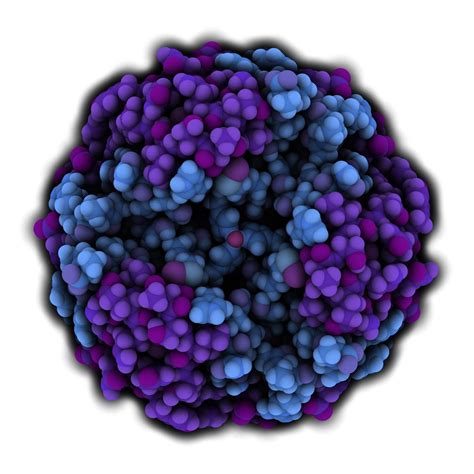 hot topics  large molecule bioanalysis survey infographic