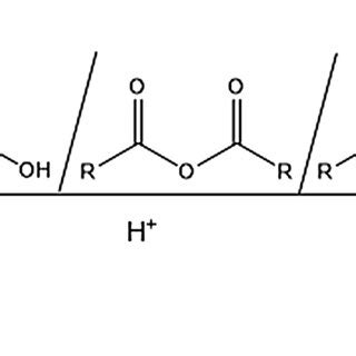 Schematic Representation Of The Propagation Of The Acylation Reaction