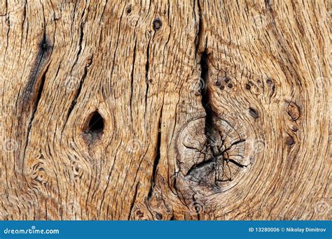 Wood Texture Of Old Oak Timber Stock Photo Image Of Aged Background