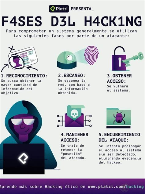 Las Fases Del Ethical Hacking Theme Route