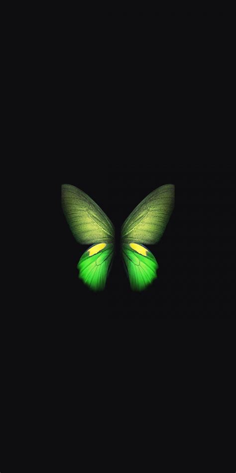 Green Butterfly Samsung Galaxy Fold Wallpaper