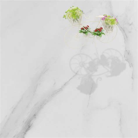 China Carara White Glazed Marble Polished Porcelain Floor Tiles Size 800800mm China Tiles