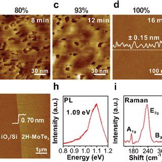 Threelevel Stacking Of Monolayer 2HMoTe2 FET Arrays A Schematic