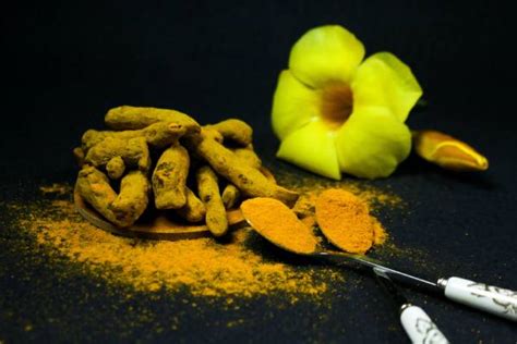 Black Turmeric Benefits Black Turmeric Uses Trustherb