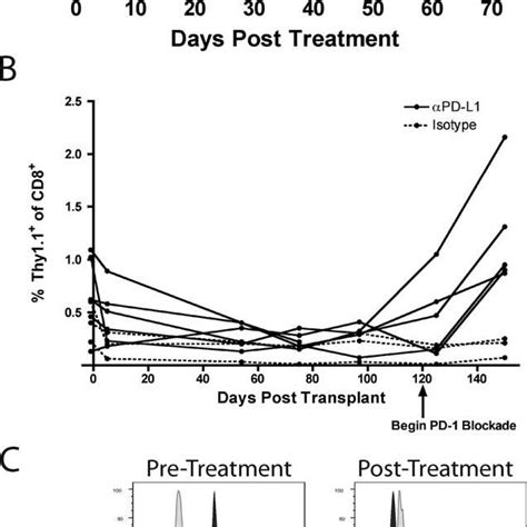 In Vivo Pd 1 Blockade Precipitated Graft Loss And Induced Download