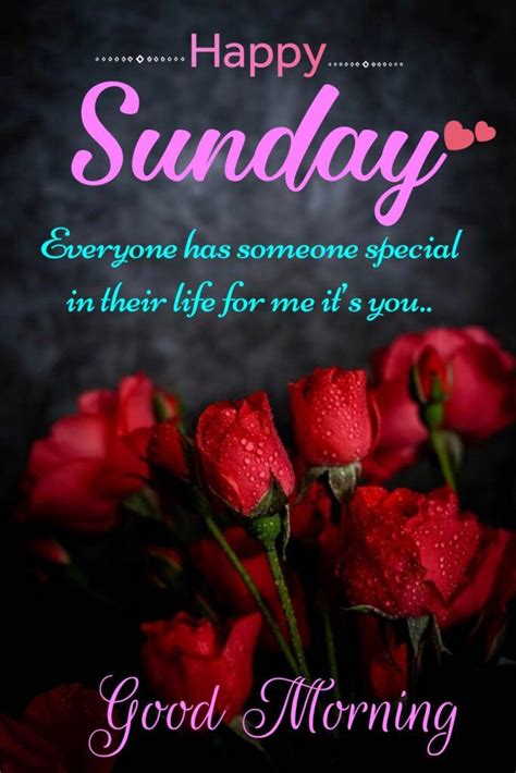 Sunday Quotes Sunday Morning Quotes Wishes1234 Sunday Morning