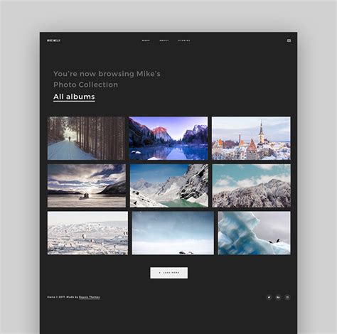 Best Photography Portfolio Themes for WordPress | Envato Tuts+