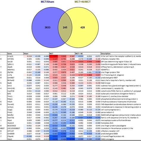 Differential Expression Of Genes In The Right Ventricle After Mct