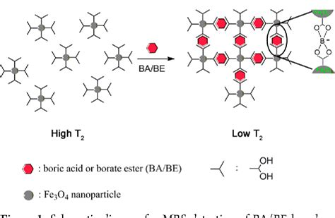 Figure 1 From Magnetic Relaxation Switch Detecting Boric Acid Or Borate