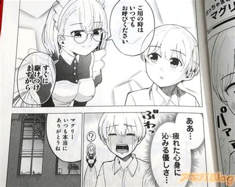 メイドさんは吸血鬼1巻 「少年と、不器用でhな吸血鬼メイドとの“純愛”の物語」 アキバblog