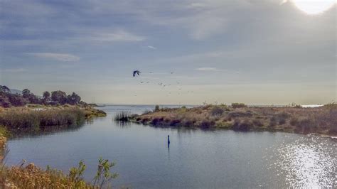 Malibu Lagoon Restoration - The Bay Foundation