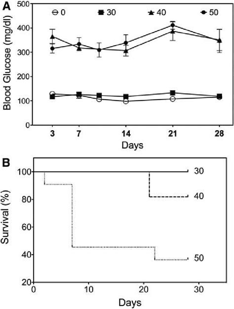 Streptozotocin STZ Dose Testing And Induction Of Diabetes Obese SDW