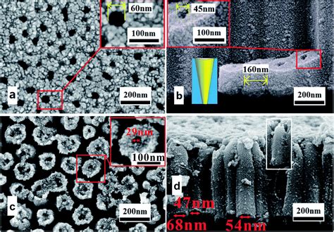 Formation Mechanism Of Multilayer Tio Nanotubes In Hbf Electrolyte