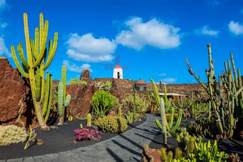 Scopri Il Momento Perfetto Lanzarote Quando Andare Cultura Chimica