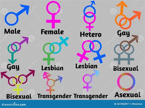 Sexual Orientation Icon Symbol Shape Sign Logo Website Gender Se Stock