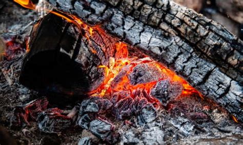 Dove Si Butta La Cenere Raccolta Differenziata Corretta