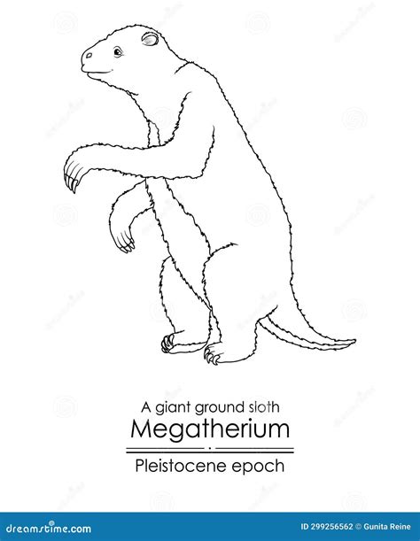 Maned Sloth Bradypus Torquatus news