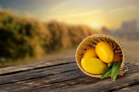 premium photo harvested mangoes fruit  basket  wooden table
