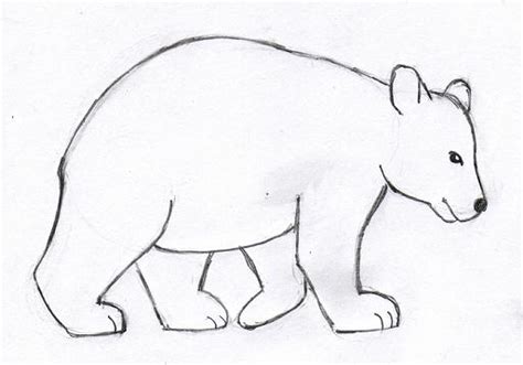 Bear Drawing – Step by Step | Art Starts