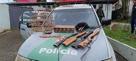 Pm Ambiental Resgata P Ssaros Em Cativeiro E Apreende Armas De Fogo Em