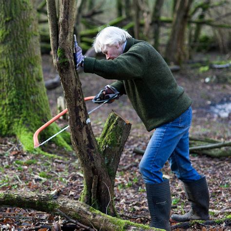 Coppicing - Discover Cornwall's Free Food