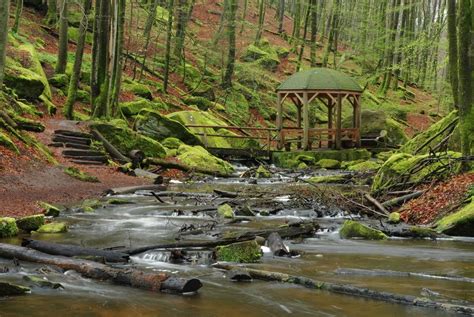 Karlstalschlucht Bei Trippstadt Pfalz Ausflug Landschaftsfotografie