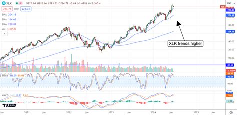 The Top 3 Sectors Poised For Growth This Summer News