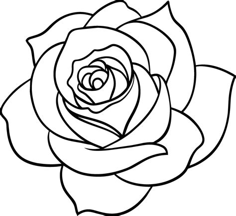 A Rose flower outline art 44186158 Vector Art at Vecteezy