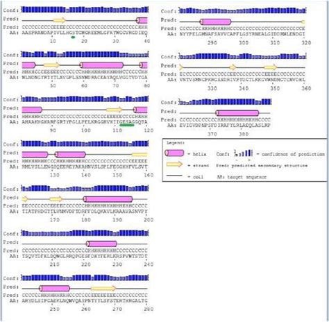 The Role Of Protein Engineering In The Design And Production Of