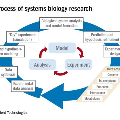 Systems Biology A Primer Mdedge Pediatrics