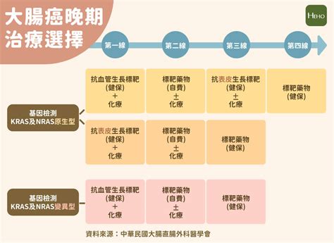 大腸癌晚期仍可能治癒！第四期有哪些治療選項？ Heho健康