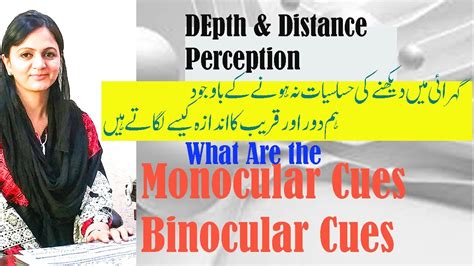 Depth Perception In Psychology What Are Monocular And Binocular Cues