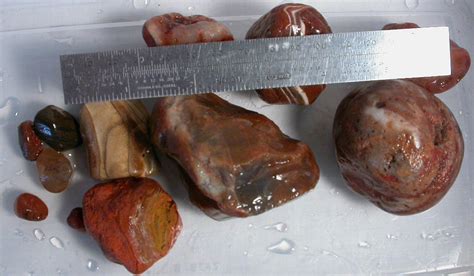 Lake Superior Agate Agates Laker Lakers Agates Agate By The Piece Pound