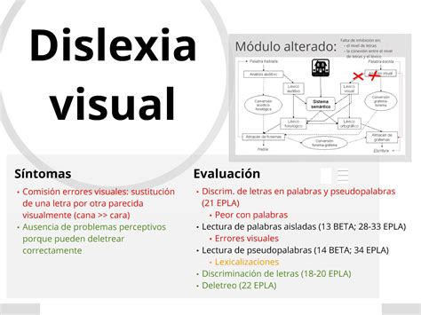 Tipos de dislexia según la ruta alterada Avanzo Sesma Psicología