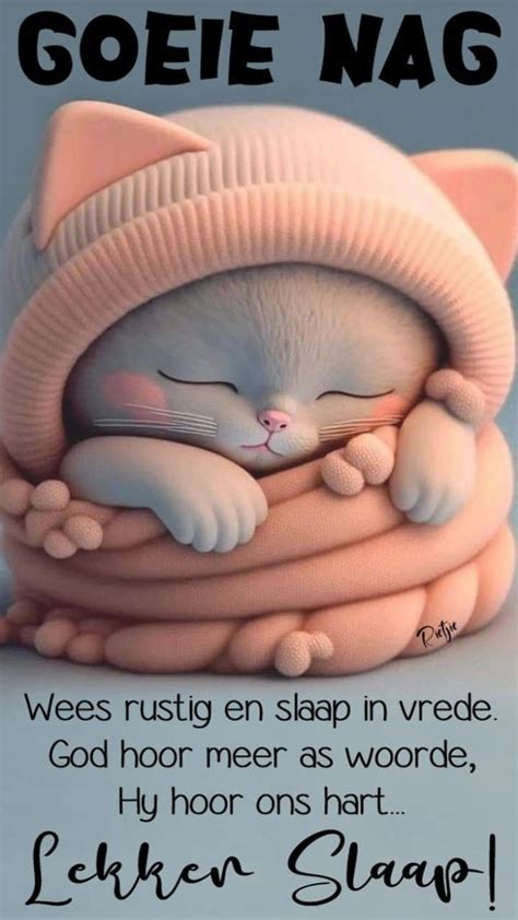 Pin By Martin Thompson On Afrikaans In 2023 Goeie Nag Cute Good