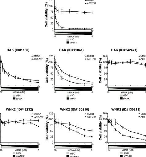 SirnA Mediated ABT 737 Sensitization Is Dose Responsive HeLa Cells