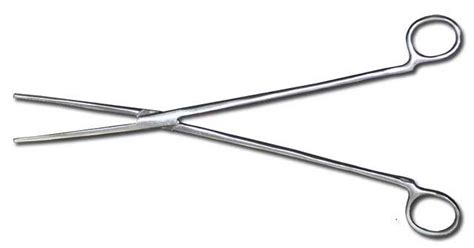 12" Stainless Locking Hemostat • Cornel's World