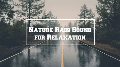 1 HOUR SERENE RAIN AND THUNDERSTORM SOUNDSCAPE Rain Weather Storm