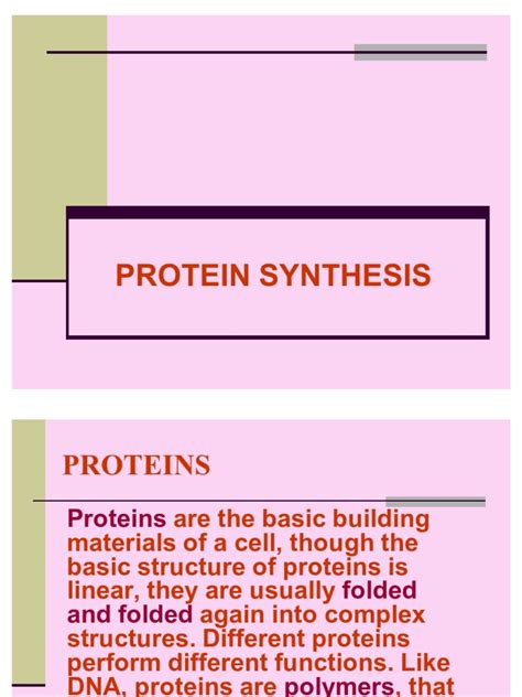 Pdf Biologi Protein Synthesis Dokumen Tips