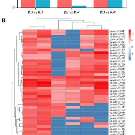 The Expression Patterns Of Differential Expressed Circrnas In Response