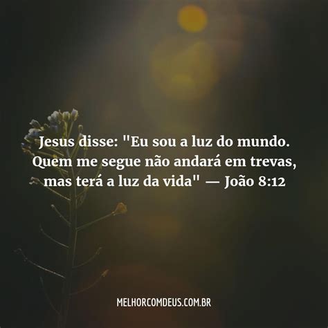 A Luz Incomoda As Trevas Versiculo - A Luz Incomoda As Trevas Versiculo - RETOEDU